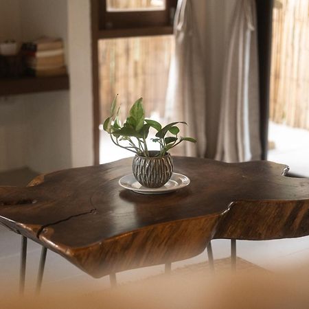 Big Tree Boutique Hotel Ko Tao Exterior photo
