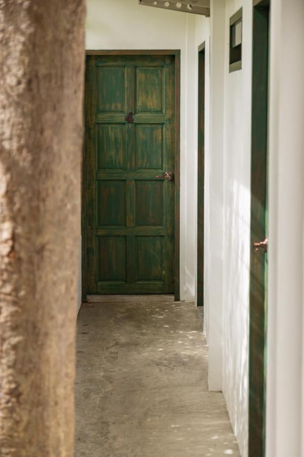 Big Tree Boutique Hotel Ko Tao Exterior photo