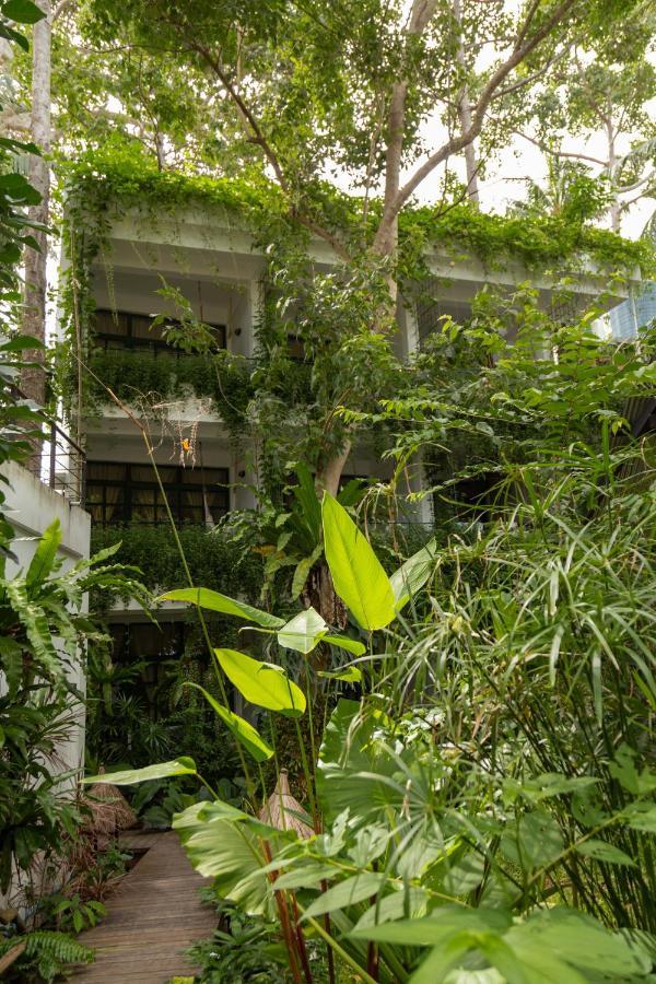 Big Tree Boutique Hotel Ko Tao Exterior photo