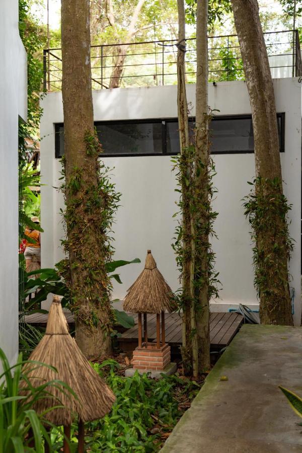 Big Tree Boutique Hotel Ko Tao Exterior photo