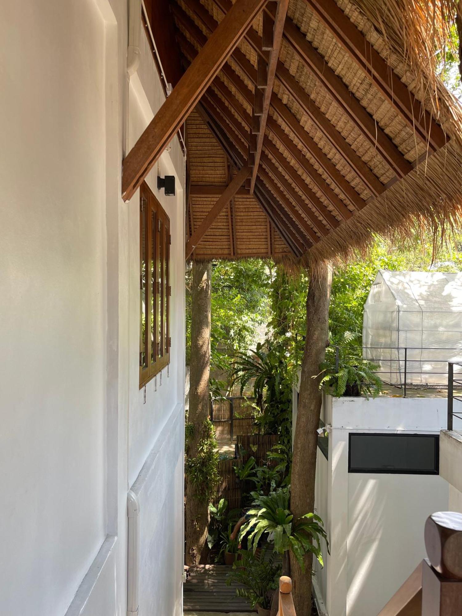 Big Tree Boutique Hotel Ko Tao Exterior photo