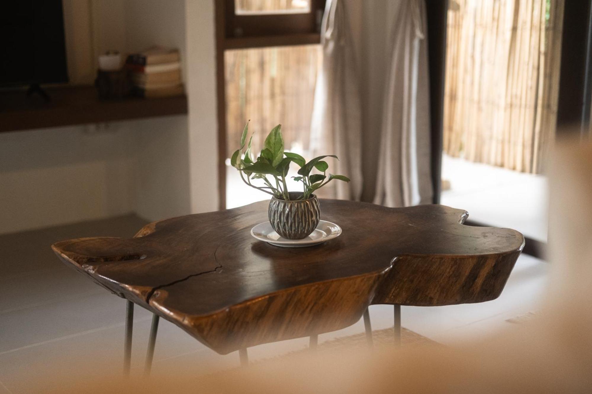 Big Tree Boutique Hotel Ko Tao Exterior photo
